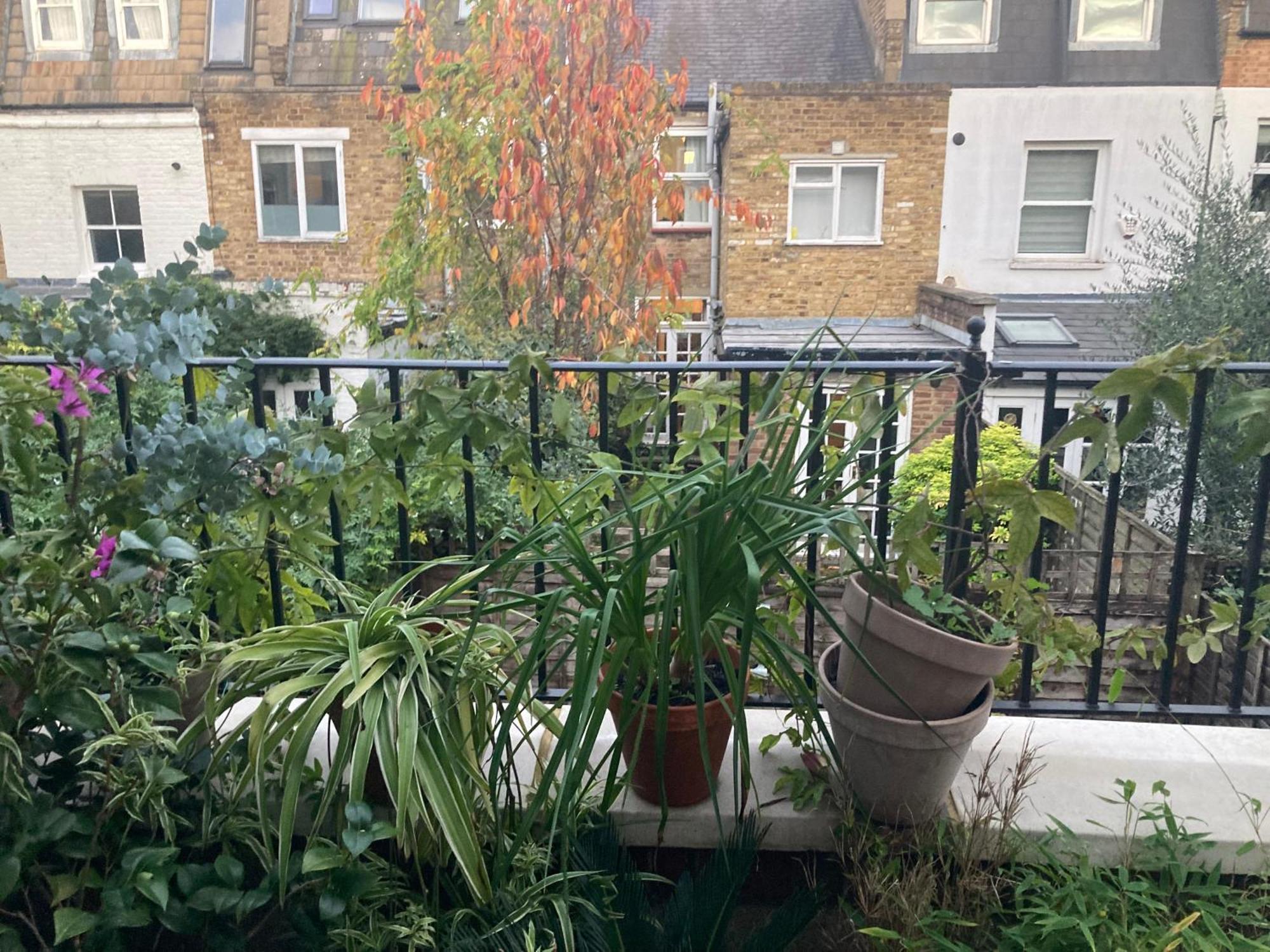 Near Chelsea